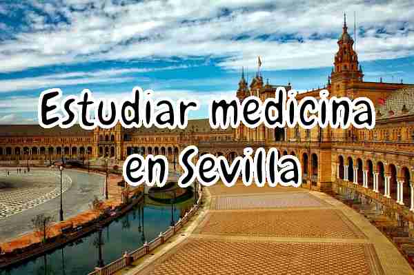 Estudiar medicina en Sevilla