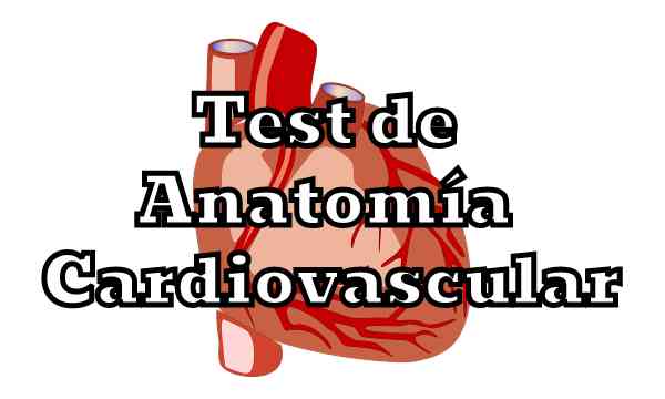 Test de Anatomía Cardiovascular