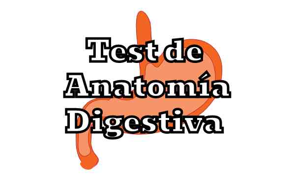 Test de Anatomía Digestiva