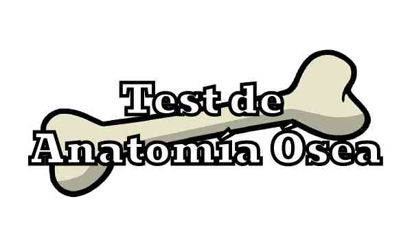 Test de Anatomía Ósea