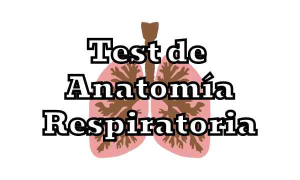 Test de Anatomía Respiratoria