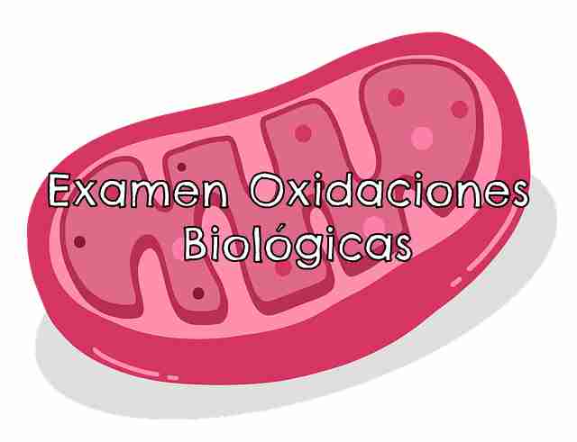 examen oxidaciones biológicas